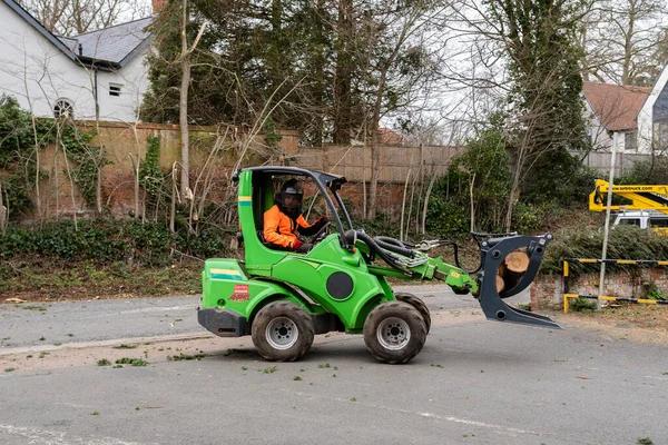 Tree Removal Rockford: Licensed Experts Near You