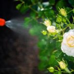 The Truth About Hidden Moisture and Pest Problems in Homes