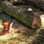 Emergency Jackson MI Tree Removal Services Available 24/7
