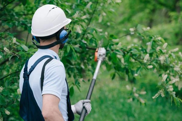 Tree Trimming Rockford Experts for Residential and Commercial Properties