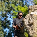Leading Tree Removal Company Near Me for Professional Results