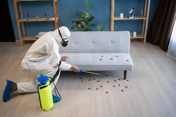 Reliable Lawn Pest Control Solutions for Healthier Grass