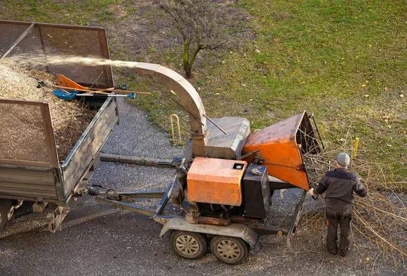 Trusted Tree Service South Lake Tahoe for Emergency Tree Removal