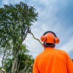 When to Call Emergency Tree Services for Storm-Damaged Trees