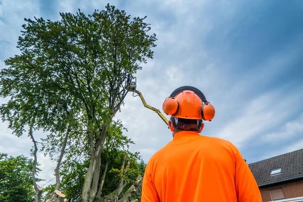 When to Call Emergency Tree Services for Storm-Damaged Trees