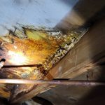 Quality Indianapolis Crawl Space Services for Lasting Results