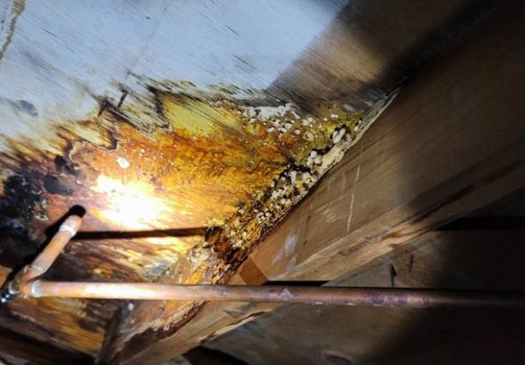 Quality Indianapolis Crawl Space Services for Lasting Results