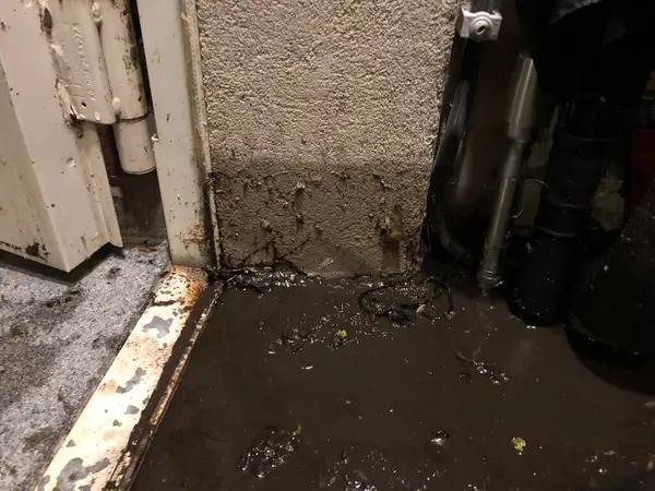 Emergency Flood Damage Cleanup When You Need It Most